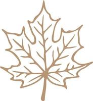 autumn leaf nature design vector