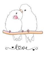 ilustración vectorial de un par de pájaros enamorados. dos loros cantando y sintiéndose enamorados. con texto amor, romance, poster. dibujos para tarjetas, postales, saludos y carteles. vector