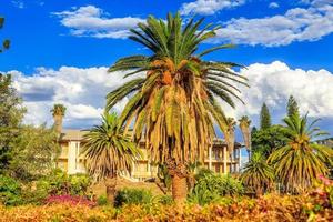 Park and garden with yellow palace building hidden behind tall palms, Windhoek, Namibia photo