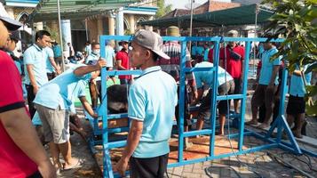 gresik, indonesia, 2022 - revisión de las personas que sacrifican animales durante eid al-adha foto