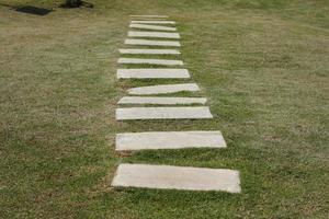 Walkway in the park on green grass photo