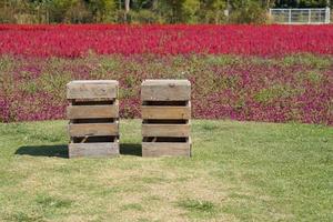 wooden chair for couples to relax on valentines day photo