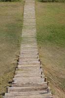 Walkway in the park on green grass photo