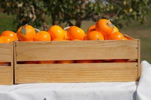 muchas naranjas en una caja foto