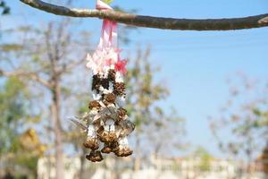 la guirnalda seca cuelga del árbol. foto