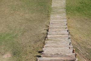 Walkway in the park on green grass photo