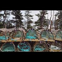 Lobster Trap Pile photo