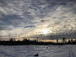 paisaje forestal de invierno foto