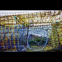 Lobster Trap Colorful photo