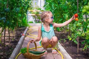 Adorable little girl harvesting in the greenhouse photo