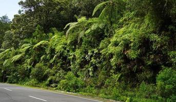 Asphalt road and beautiful natural landscape background photo