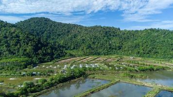 View from the top of the shrimp ponds at the foot of the hill photo