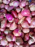 bunch of onions, red onions photo