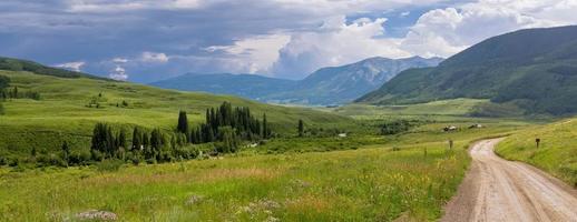 Scenic landscape of wild flower meadows, conifer trees along brush creek in Colorado countryside photo