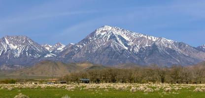 montañas nevadas de la sierra oriental cerca de Bishop, California foto