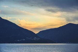 Pino sulle sponde del lago maggiore photo