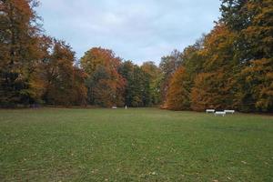 árboles de otoño y hojas con follaje colorido en el parque. foto