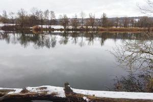 Idyllic landscape and marsh in nature reserve in winter photo