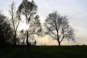 silueta de personas montando en bicicleta en un camino rural al atardecer a lo largo del río danubio en regensburg, alemania, europa. foto