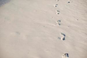 Human footprints on the white sand beach photo