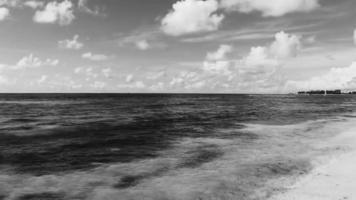 tropischer karibischer strand klares türkisfarbenes wasser playa del carmen mexiko. video