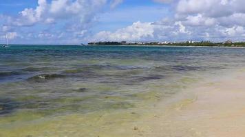 Tropical caribbean beach clear turquoise water Playa del Carmen Mexico. video