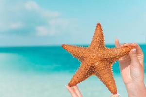 arena blanca tropical con estrellas de mar rojas en el fondo de las manos el mar foto