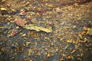 Pieces of paint lie on asphalt. Texture of colored dirt.