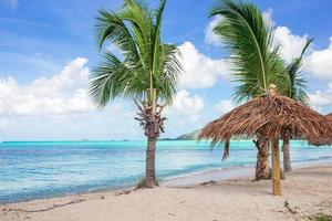 Idyllic tropical beach with white sand, turquoise ocean water and big palm trees photo