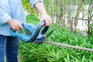 Gardener trimming bush by electric hedge clippers in garden. Hobby at home. photo