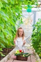 Little girl collecting crop cucumbers and tomatos in greenhouse. Time to harvest. photo