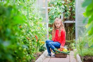 Little girl in greenhouse with basket full of harvest. Time to harvest. Big basket full of vegetables photo