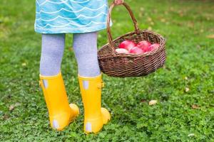 Basket with red apples and yellow rubber boots on little girl photo