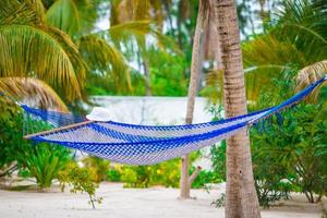 Empty hammock between palm trees on tropical beach photo