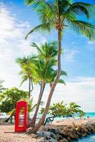 Beautiful landscape with a classic phone booth on the white sandy beach in Antigua photo