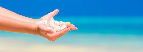 Close up of little girl hand holding beautiful sea shells photo