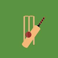 Cricket bat and ball equipment set illustration vector