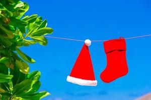 Red Santa hat and Christmas stocking between palm trees photo