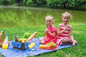 adorables niñas haciendo un picnic en el parque en un día soleado foto