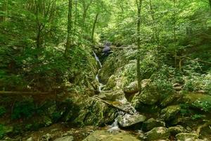 parque nacional shenandoah - virginia foto