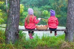 Rear view of two little sisters on bench with basket of red apples near the lake photo