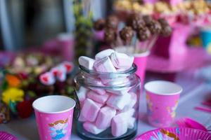 Marshmallow, sweet colored meringues, popcorn, custard cakes and cake pops on table photo