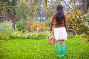 Rear view of Young woman in rubber boots holding the straw basket with red apples at autumn time photo