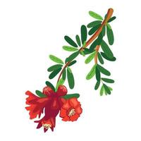 Pomegranate branches with fruits and flowers. Symbol of good luck, eternal life, love, fertility, abundance. Symbol of Israel and Azerbaijan vector
