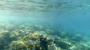 sand bottom underwater swimming in turquoise lagoon photo