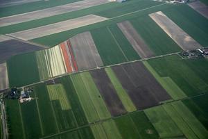 campos de tulipanes holanda vista aérea desde el avión foto