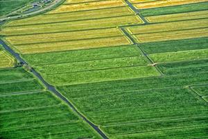 holland farmed fields aerial view photo