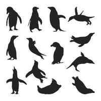 conjunto de siluetas de animales pingüinos de varios estilos vector