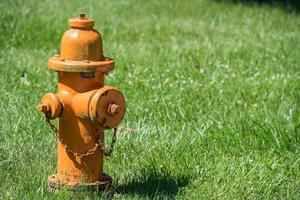 yellow hydrant isolated on grass background photo