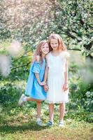 Adorable little girls in blooming apple tree garden on spring day photo